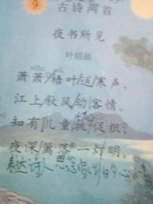 關(guān)于描寫(xiě)第一的詩(shī)句