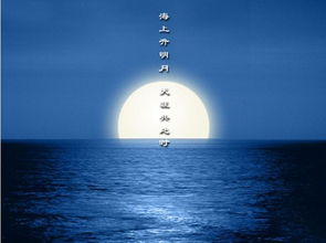 關(guān)于思關(guān)于思鄉的詩(shī)句