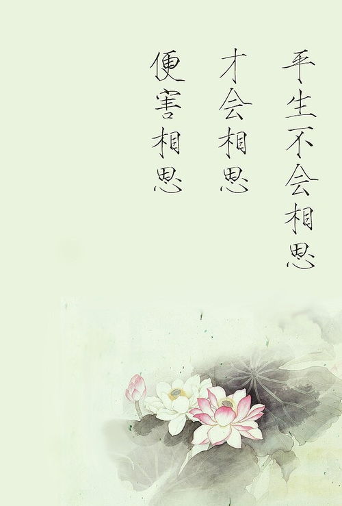 思念已故親人的詩(shī)句古詩(shī),思念親人的詩(shī)句經(jīng)典古詩(shī),描寫(xiě)思念親人的詩(shī)句古詩(shī)
