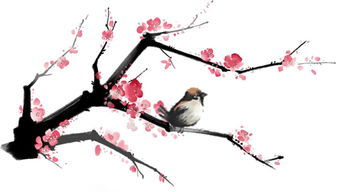 贊美夏的詩(shī)句古詩(shī)