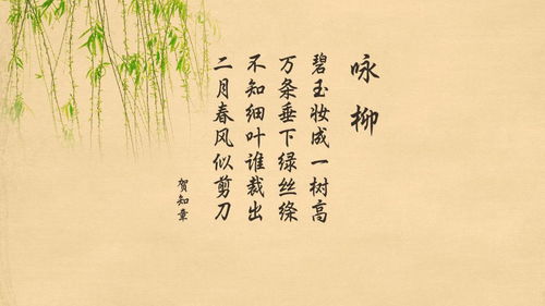 關(guān)于夜貓子的詩(shī)句古詩(shī)詞