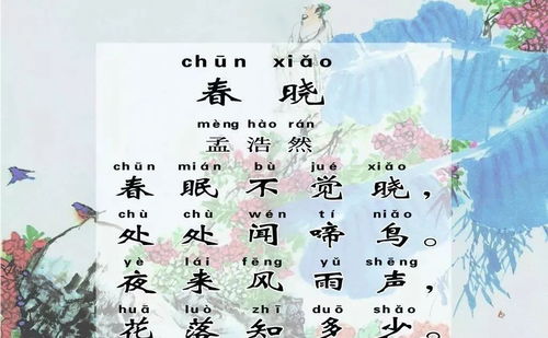 春曉古詩(shī)詩(shī)句
