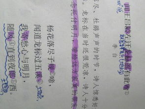 末歲初古詩(shī)句