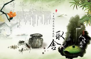 有關(guān)于選擇的詩(shī)句
