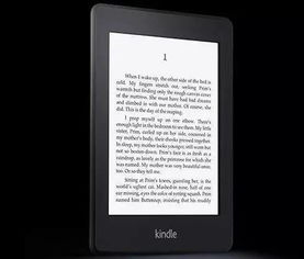 國美kindle關(guān)于洛陽(yáng)的詩(shī)句
