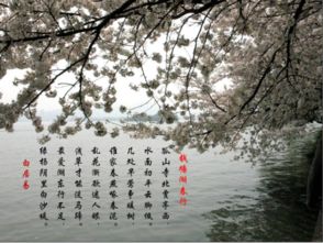 四季山水的詩(shī)句古詩(shī)