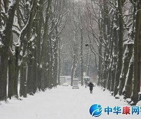 贊美冬天的古詩(shī)句子有哪些