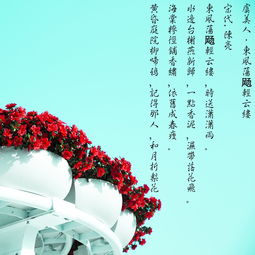 古詩(shī)寫(xiě)回故鄉的詩(shī)句