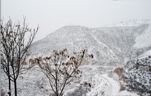 關(guān)于雪的原創(chuàng  )詩(shī)句