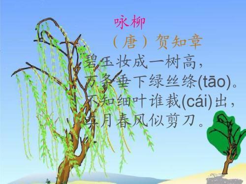 詠柳古詩(shī)贊美柳樹(shù)的句子,古詩(shī)詠柳古詩(shī),古詩(shī)詠柳古詩(shī)帶拼音