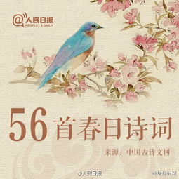 寫(xiě)春花的古詩(shī)句有哪些?,關(guān)于春花的古詩(shī)句,描寫(xiě)春花的古詩(shī)句