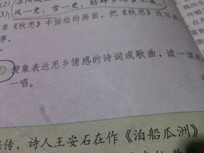 與采菊東籬下情感相近的詩(shī)句,與示兒情感相近的詩(shī)句,情感相近的詩(shī)句有哪些