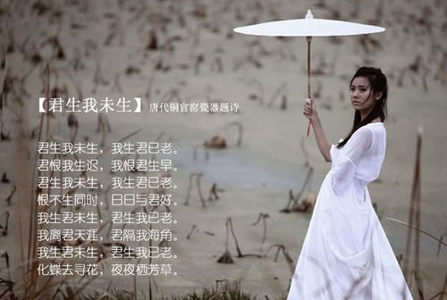 贊美人認真工作的詩(shī)句古詩(shī)詞