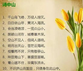 贊美風(fēng)景優(yōu)美的古詩(shī)句子