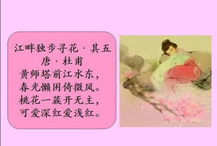 古詩(shī)春困詩(shī)句