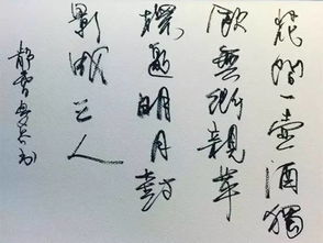 關(guān)于針線(xiàn)好的詩(shī)句
