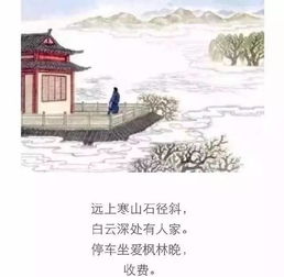 關(guān)于夜貓子的詩(shī)句古詩(shī)詞