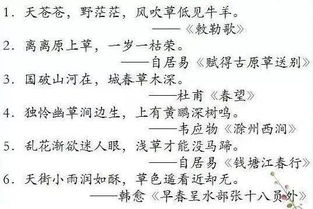 含有古詩(shī)積累的詩(shī)句