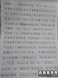 關(guān)于寫(xiě)景的小學(xué)詩(shī)句