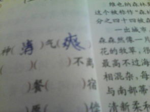 諺語(yǔ),詩(shī)句,成語(yǔ)