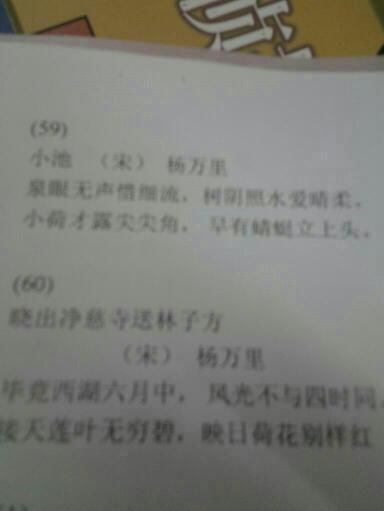 寫(xiě)一句描寫(xiě)夏景的古詩(shī)句