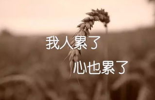 關(guān)于心煩的古詩(shī)句子