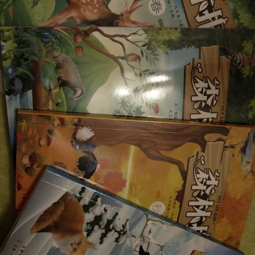 古詩(shī),句子,森林