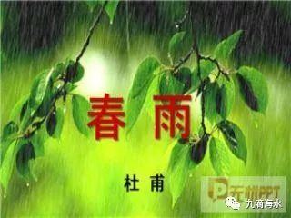 關(guān)于春雨高興的詩(shī)句