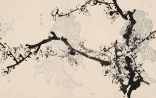 古詩(shī)句夸人