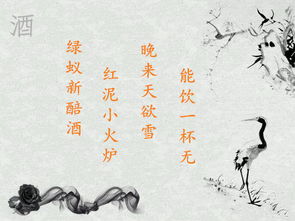 關(guān)于一人飲酒的詩(shī)句