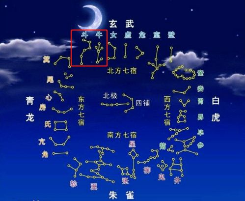 月亮,詩(shī)句,寫(xiě)出,兩個(gè)