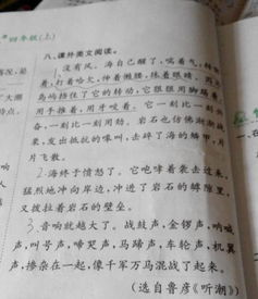 觀(guān)潮,詩(shī)句,描寫(xiě)