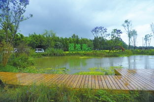 關(guān)于美好鄉村生活場(chǎng)景的詩(shī)句初中