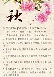 關(guān)于寫(xiě)冬天花的詩(shī)句古詩(shī)