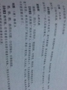 描寫(xiě)夏天的古詩(shī)句4首