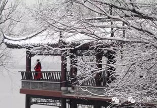 詩(shī)句,下雪