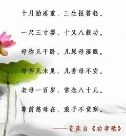 關(guān)于感恩孩子的詩(shī)句