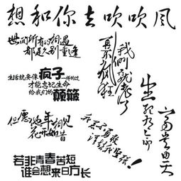 關(guān)于汽車(chē)的個(gè)性詩(shī)句