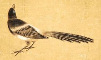 有鳥(niǎo)名的古詩(shī)句
