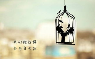 關(guān)于友誼的詩(shī)句千心優(yōu)美句子