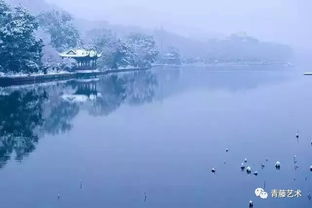 雪中嬉戲的詩(shī)句古詩(shī)