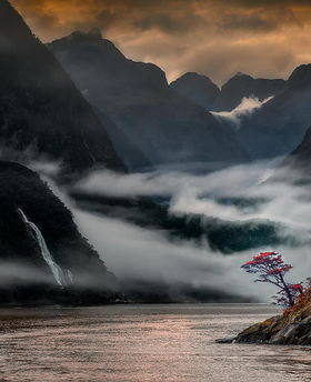 關(guān)于蘭花的詩(shī)句,贊美蘭花的詩(shī)句古詩(shī)詞,蘭花的勵志詩(shī)句古詩(shī)詞