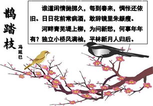 描寫(xiě)竹子的詩(shī)句古詩(shī),描寫(xiě)蓮花的詩(shī)句古詩(shī),描寫(xiě)荷葉的詩(shī)句古詩(shī)