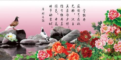 關(guān)于牡丹的詩(shī)句自創(chuàng  )