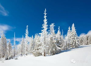 寫(xiě)詠雪古詩(shī)句