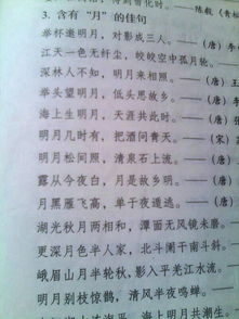 描寫(xiě)邊關(guān)的詩(shī)句古詩(shī)
