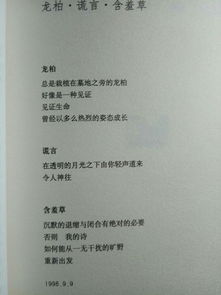 引用古詩(shī)句怎么仿寫(xiě)一句