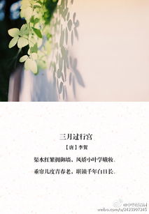 講述享受青春華的古詩(shī)句
