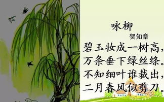 關(guān)于樹(shù)于人的詩(shī)句