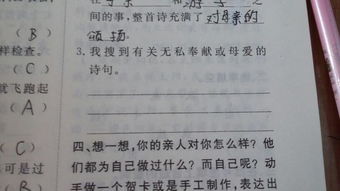 關(guān)于母愛(ài)的詩(shī)句或詩(shī)